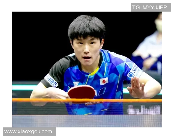 波尔与张本智和精彩对决全程录像回放分析与解读